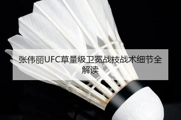 张伟丽UFC草量级卫冕战技战术细节全解读